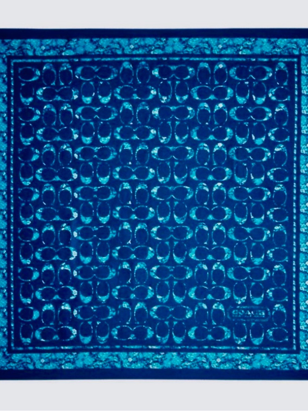 Coach Signature Rose Meadow Print Silk Scarves - True Blue
